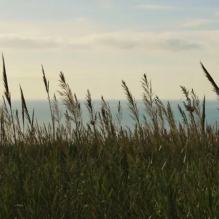 Laurel House Casa vacanze Lourinhã