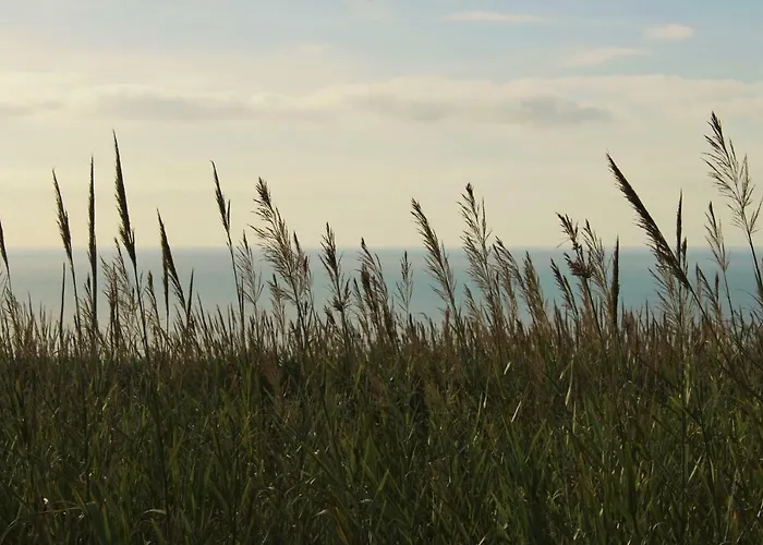 Laurel House Casa vacanze Lourinhã